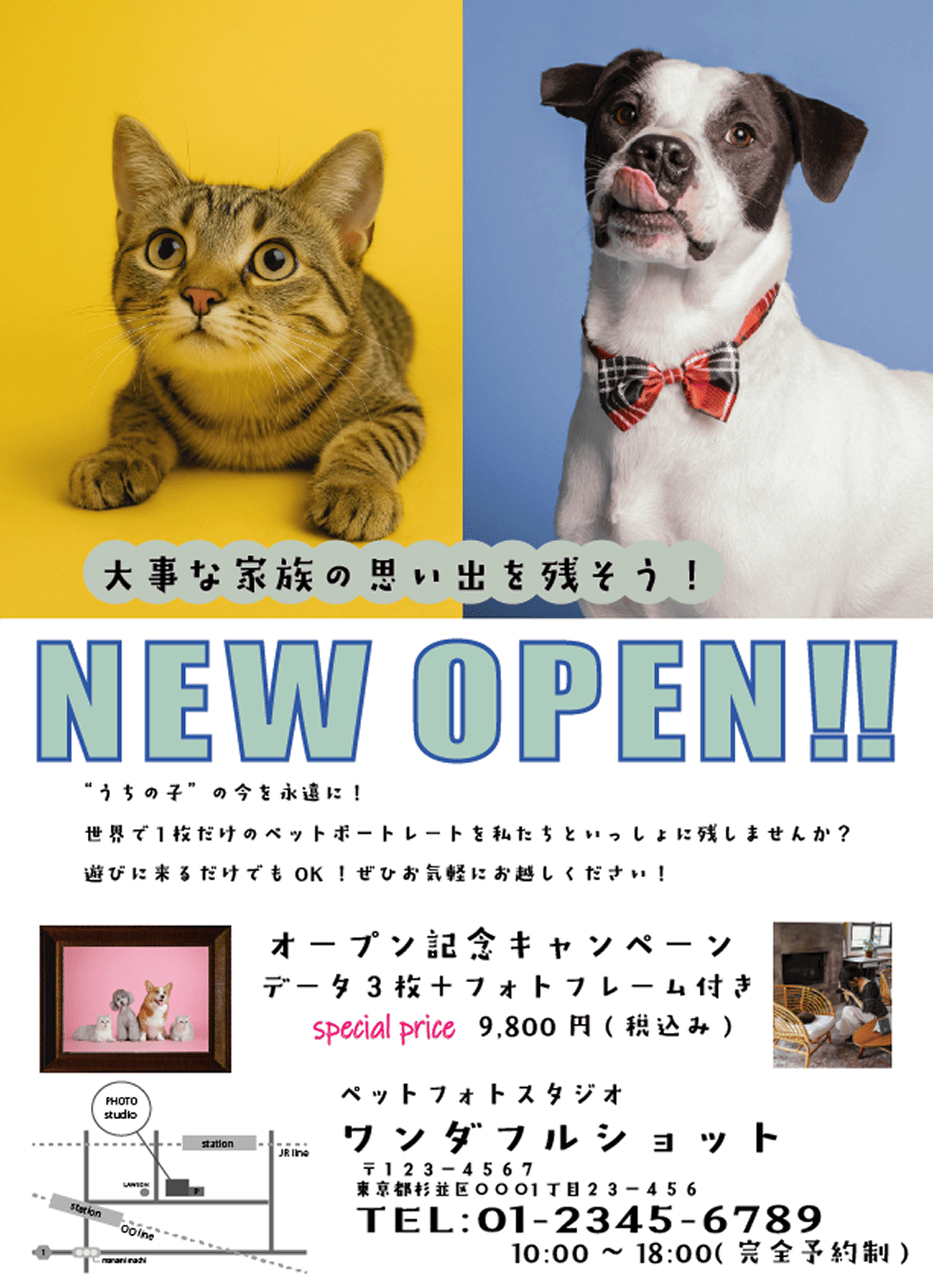 ペットフォトスタジオ新規オープンチラシ
